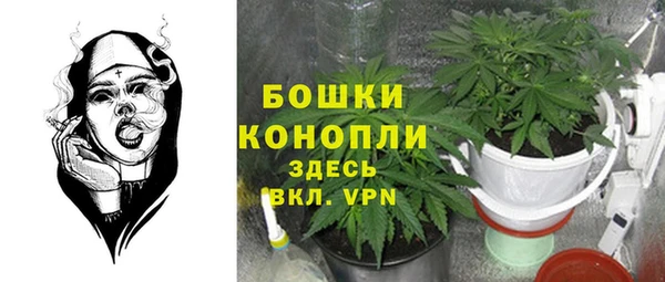 мяу мяу мука Михайлов