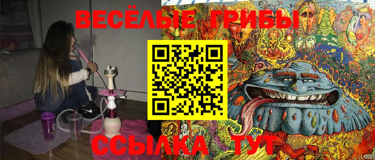 Галлюциногенные грибы Magic Shrooms Тында