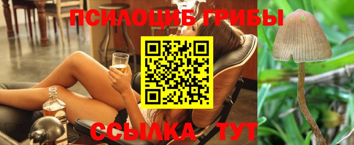 Галлюциногенные грибы Magic Shrooms  Вход с VPN  продажа наркотиков  Тында 